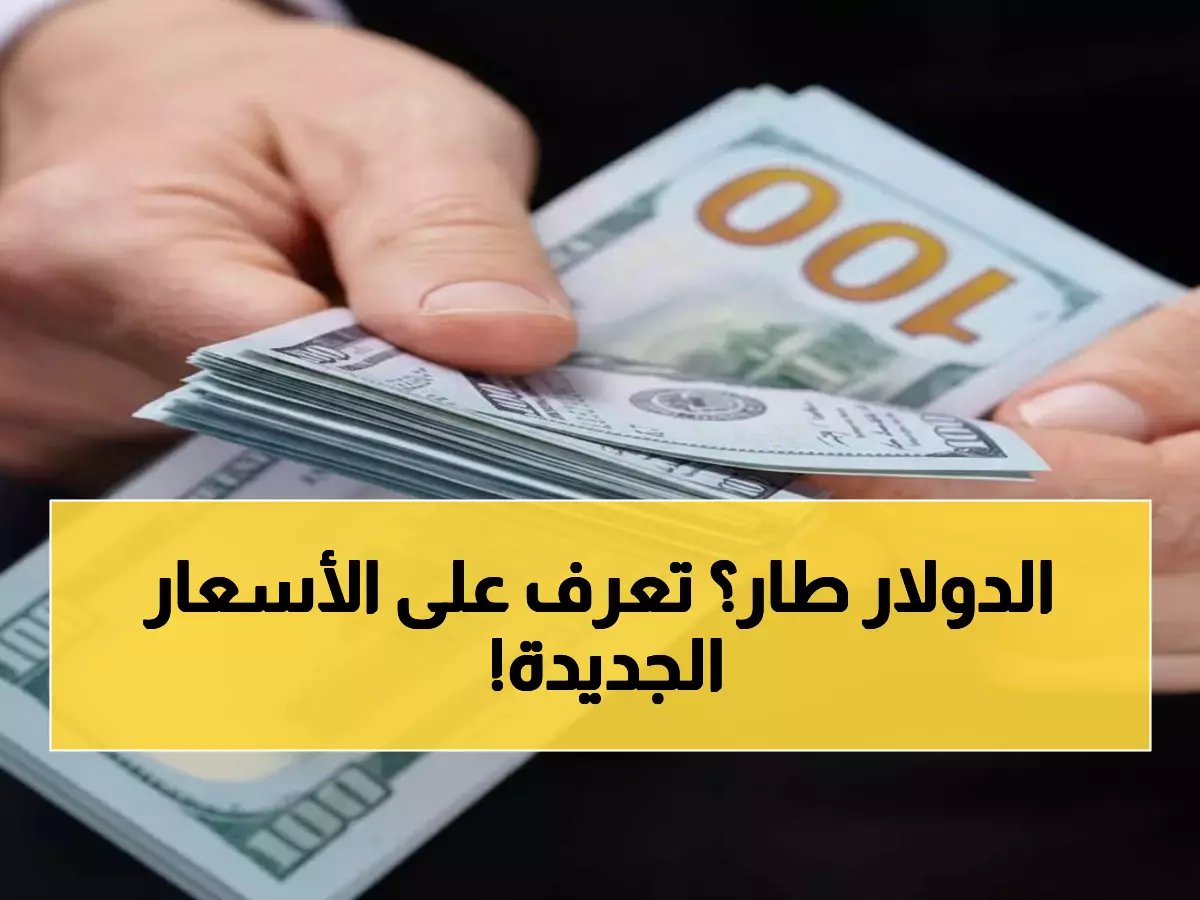  هل تبيع أو تشتري دولار؟ البنوك تعود وتفاصيل صادمة لأسعار الشراء والبيع.. الأحد 1 فبراير 2026