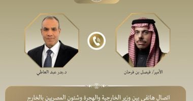 وزيرا خارجية مصر والسعودية يؤكدان ضرورة خفض التصعيد والتوتر في المنطقة