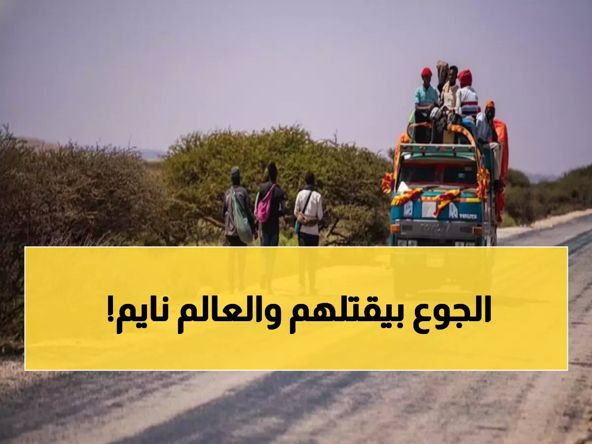  16 ألف أسرة يمنية على حافة الكارثة... منظمة دولية تطلق صرخة استغاثة قبل فوات الأوان!