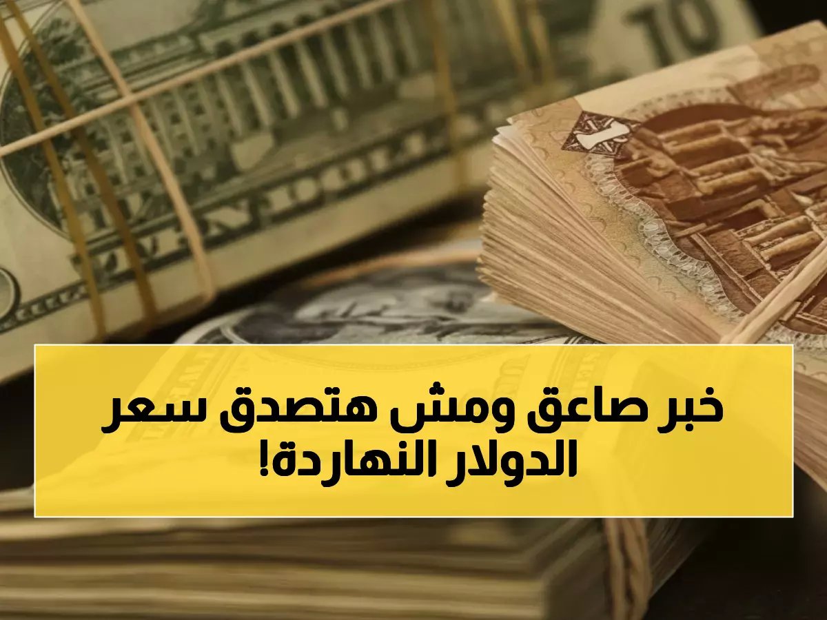  الدولار يصدم الجميع ويحقق مفاجأة غير متوقعة أمام الجنيه... تعرف على الأسعار الحقيقية!