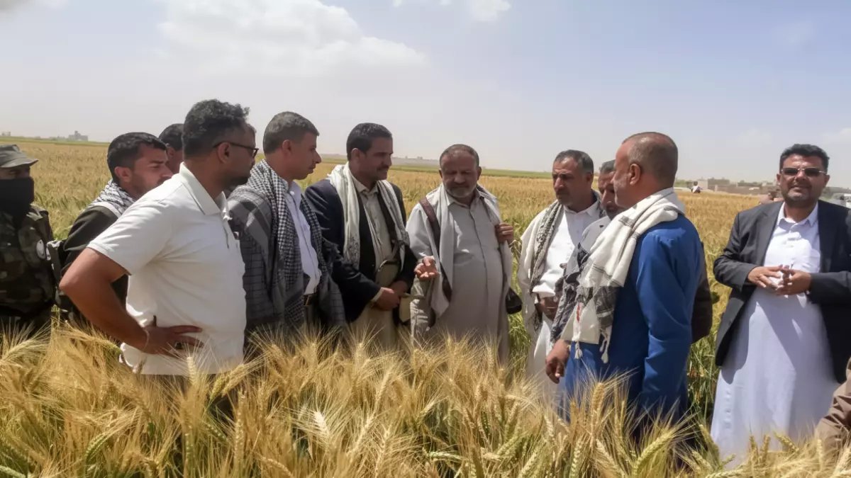 عاجل: معجزة ريمة تهز العالم… 100% نجاح يحول اليمن لمنافس إيطاليا وإسبانيا!