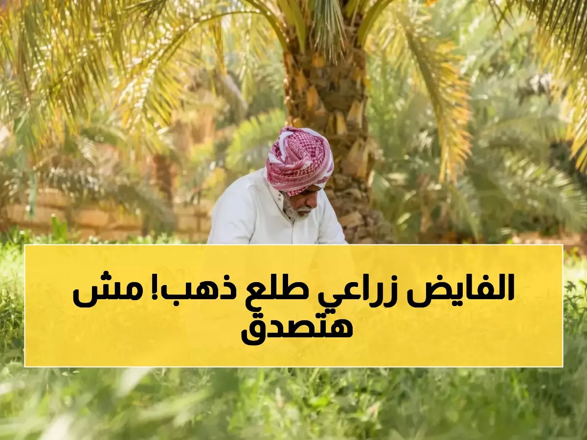 ما الذي ستفعله لو علمت أن أحدهم حول 150 ألف طن من فائضنا الزراعي إلى ذهب أسود؟.. مزارع سعودي فاز بلقب 'مهندس النكهات' العالمي