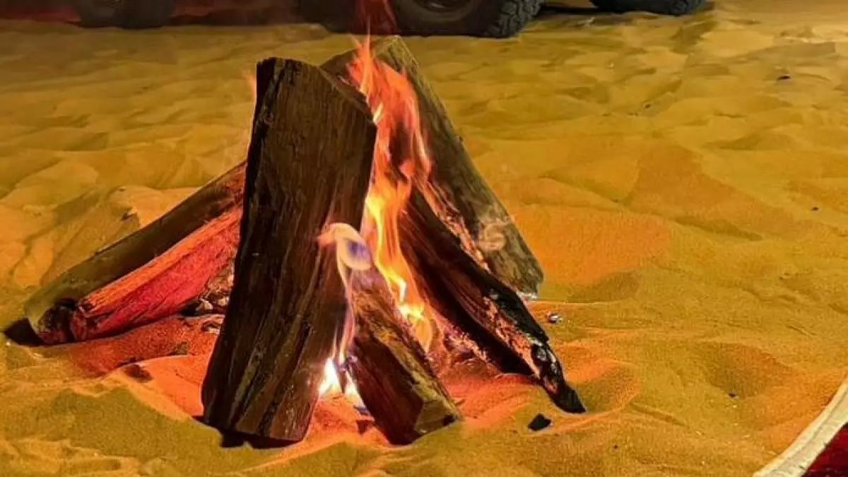 عاجل: القبض على مواطن تسبب في كارثة بيئية بمحمية الملك عبدالعزيز - غرامة 3000 ريال والسجن!