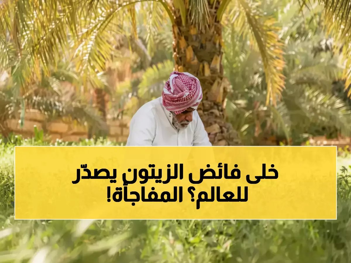  150 ألف طن زيتون تحولت إلى شوكولاتة رفيعة تنتشر في العالم.