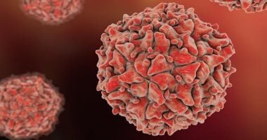 سلطات ملاوى تعلن تفشى فيروس شلل الأطفال من النوع الثانى