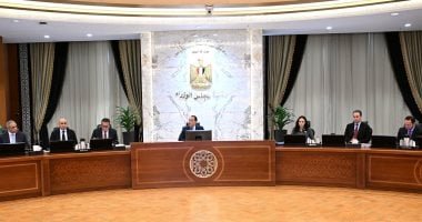 رئيس الوزراء يناقش إجراءات حماية الأطفال والنشء من المحتوى الضار على السوشيال