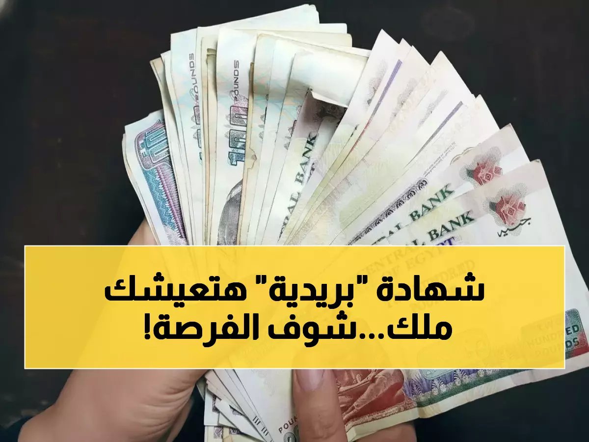  البريد المصري يطلق "خزنة" - احصل على 3 أضعاف معاشك فوراً بشرط واحد فقط!