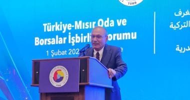 توقعات بزيارة نصف مليون سائح تركى لمصر خلال الفترة المقبلة.. اعرف التفاصيل