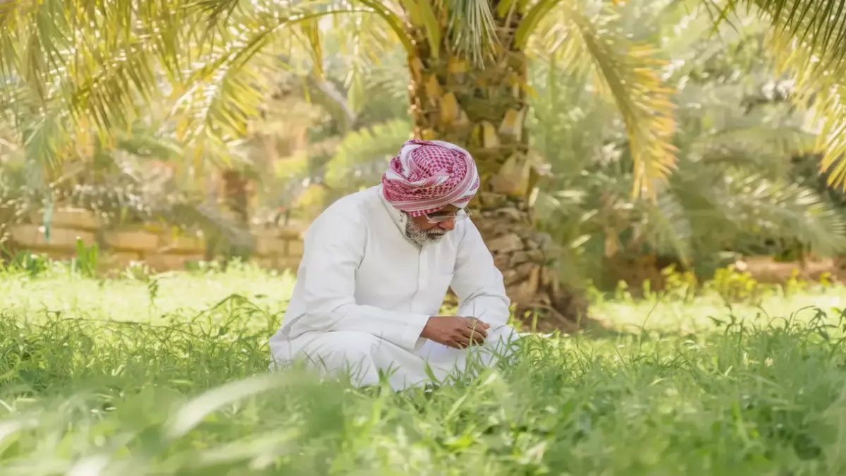 ماذا يفعل مزارع سعودي بـ 23 مليون شجرة زيتون؟.. 'فراس الجابر' حوّلها إلى شوكولاتة أبهرت 7 دول.