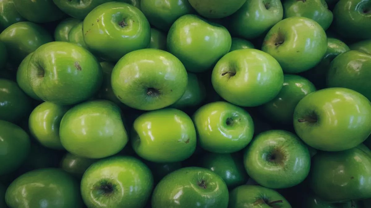 انتبهوا: مصر تحقق قفزة صادمة في إنتاج التفاح الأخضر... المركز الثاني إفريقياً بعد جنوب إفريقيا وتفوق على المغرب والجزائر!