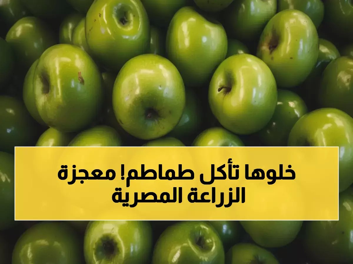  كيف صعدت مصر كعملاق زراعي لتحصد المركز الثاني في أفريقيا بانتاج 7.5 مليون طن صادرات؟