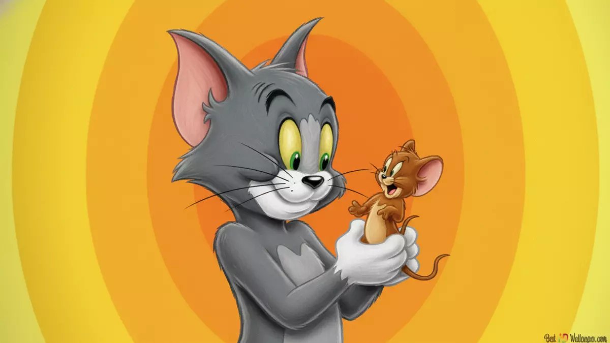 عاجل: "توم وجيري" يعود بـ 4 ترددات جديدة… الحل السحري الذي ينهي معاناة الآباء مع الشاشات!