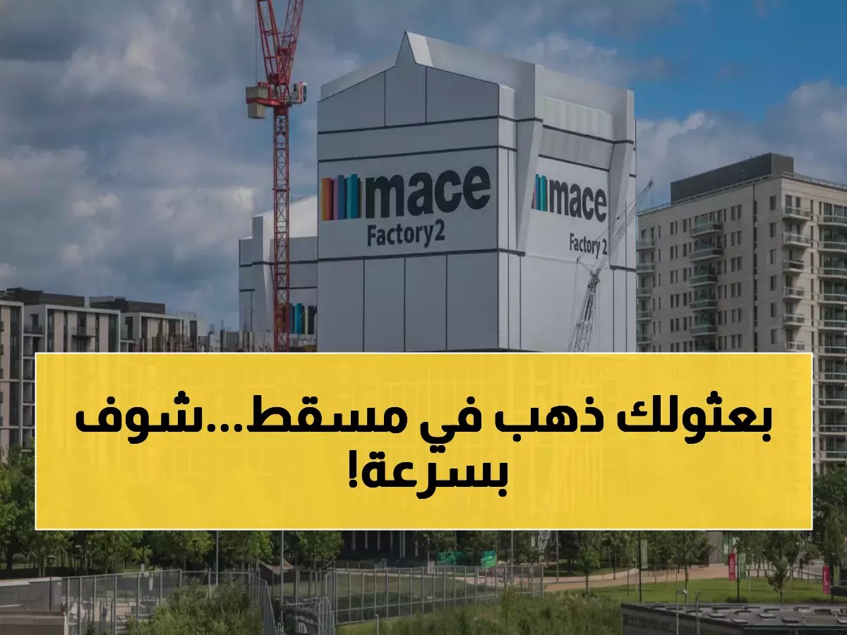  مجموعة MACE الرائدة تطلق 3 وظائف ذهبية في مسقط - رواتب مغرية وطريقة التقديم!