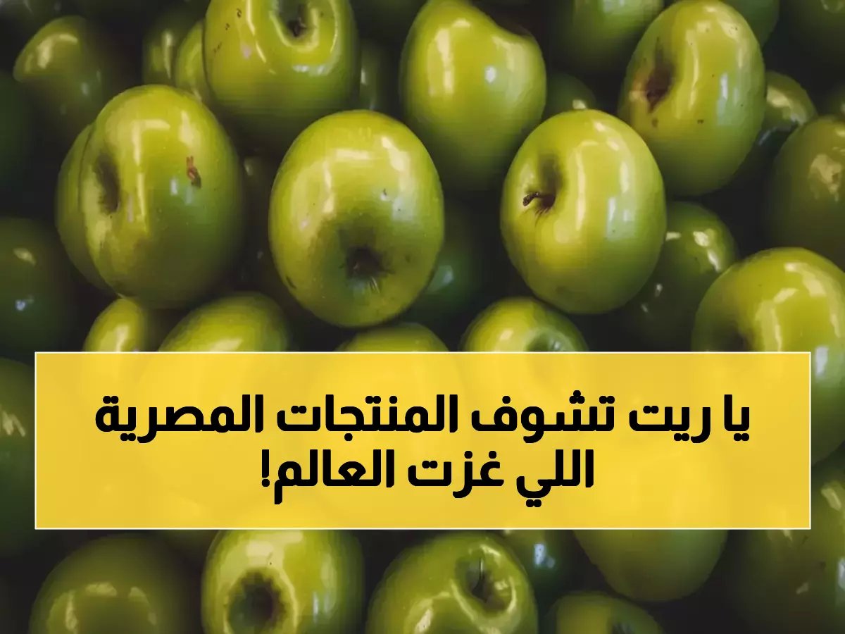  405 منتج مصري تطعم 167 دولة حول العالم.