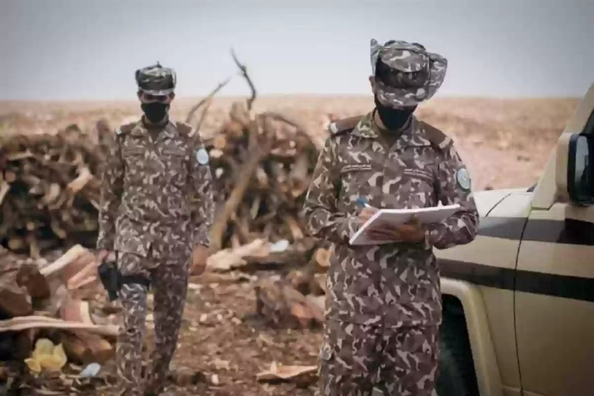 الأمن البيئي السعودية يُطلق “16 طائرًا بحريًا” للهجرة!! احذر صيدها وإلا طالتك العقوبات