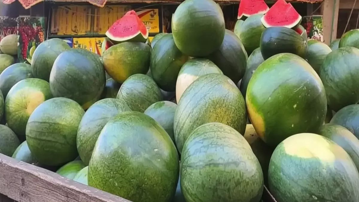 عاجل: صادرات البطيخ المصري تنفجر للسعودية بنسبة 500% - الوجهة الأولى تستحوذ على 70% من إجمالي الصادرات!
