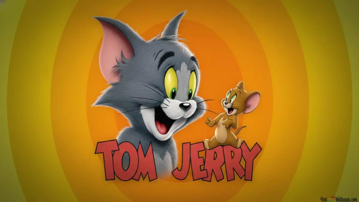 لماذا يعود 'توم وجيري' بجيش؟ لأن قناتهم الجديدة تبث الآن على 4 ترددات.