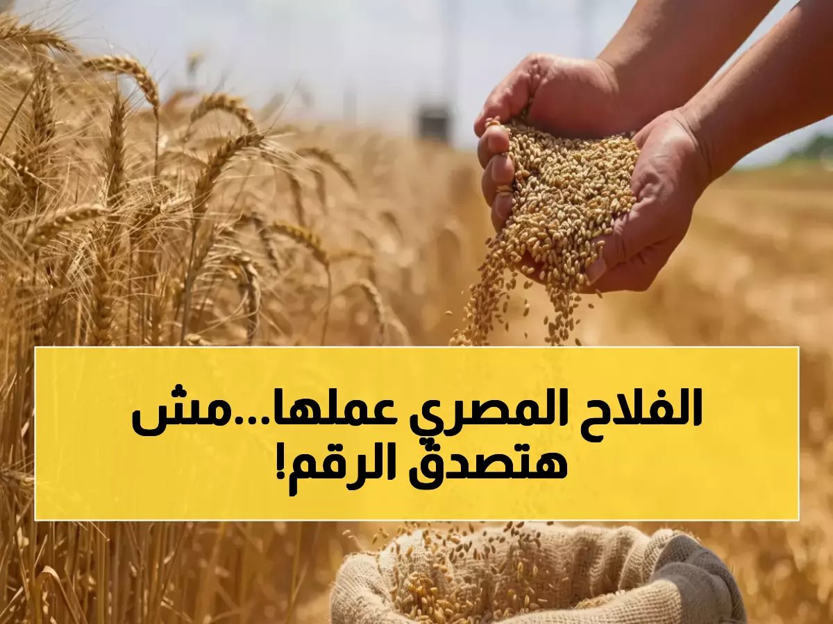  وزير الزراعة علاء فاروق يكشف عن حقول مصرية حققت 30 إردباً للفدان!