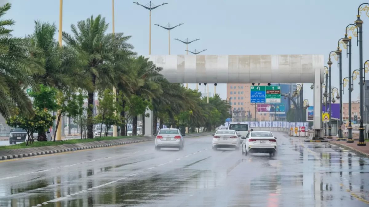 عاجل: المركز الوطني للأرصاد يعلن حالة الطوارئ الجوية - أمطار رعدية وضباب يحجب الرؤية يضربان هذه المناطق!