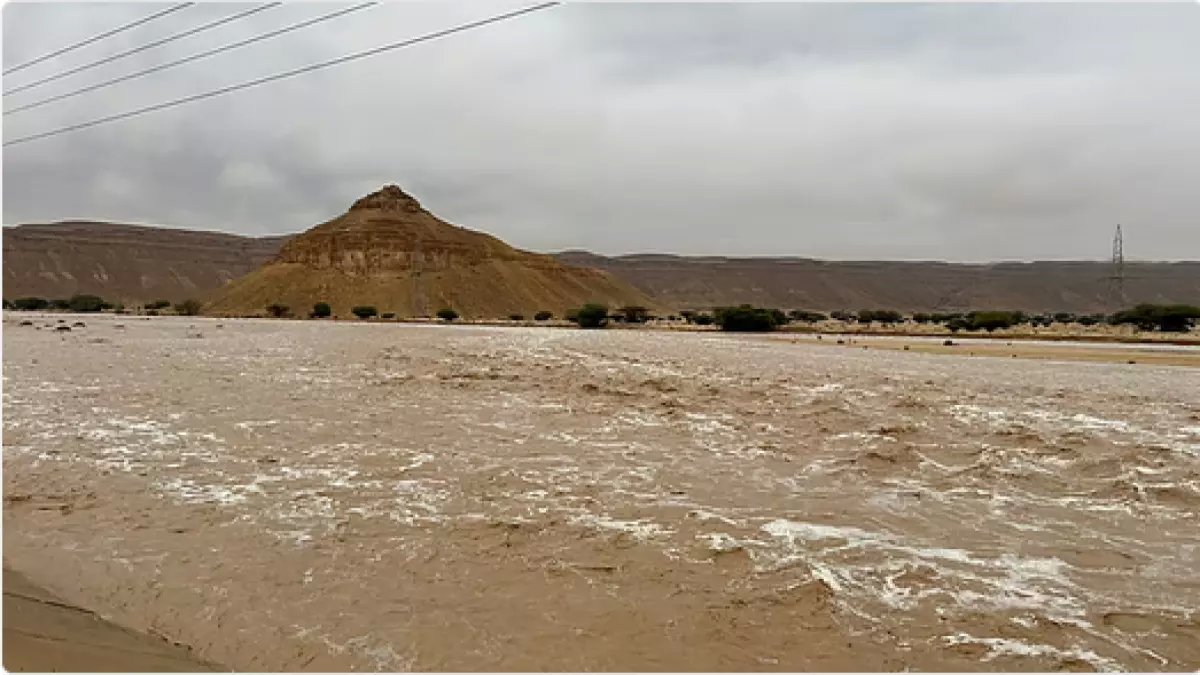 عاجل: حرس الحدود السعودي يحذر المواطنيين والمقيمين من خطر قاتل... ابتعدوا عن هذه المناطق فوراً!