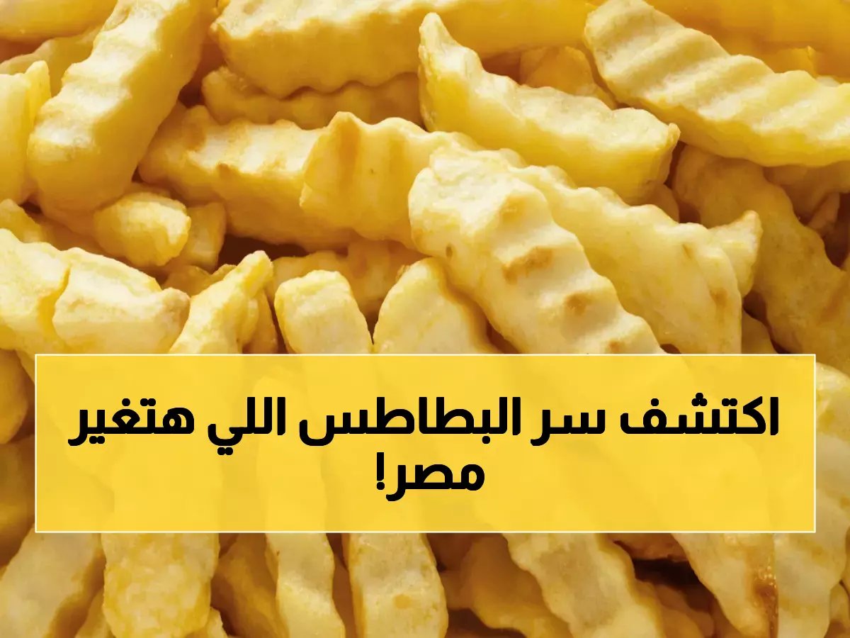  مصر تحقق طفرة تاريخية في صادرات البطاطس المجمدة.. 256 مليون دولار خلال 2025 والسبب صادم!