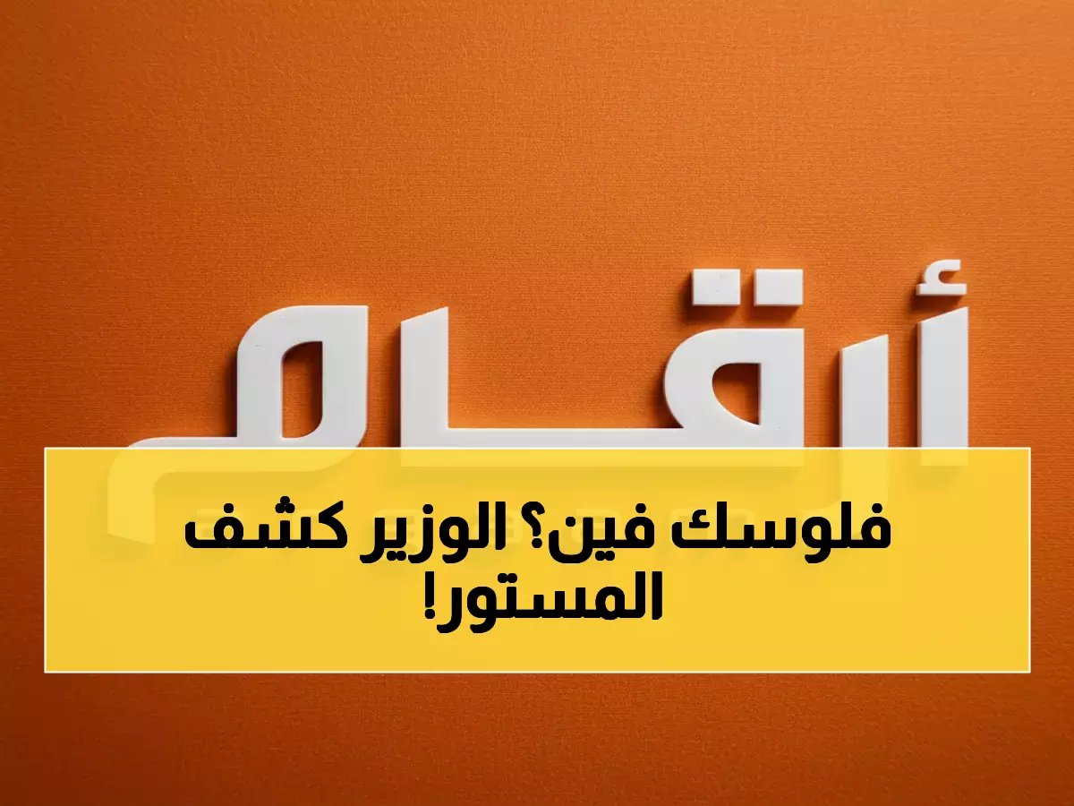  وزير المالية يكشف الاستراتيجية السرية... هذه الشركات ستحصد أرباحاً خيالية من خطة التحول!