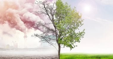 تقرير دولي: التكيف مع تغير المناخ سيكلف العالم 4.1 تريليونات دولار سنويا