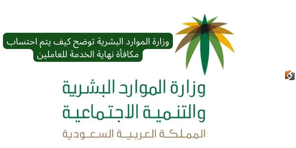 خطوات احتساب مكافأة نهاية الخدمة في السعودية 1447 وشروط الحصول عليها