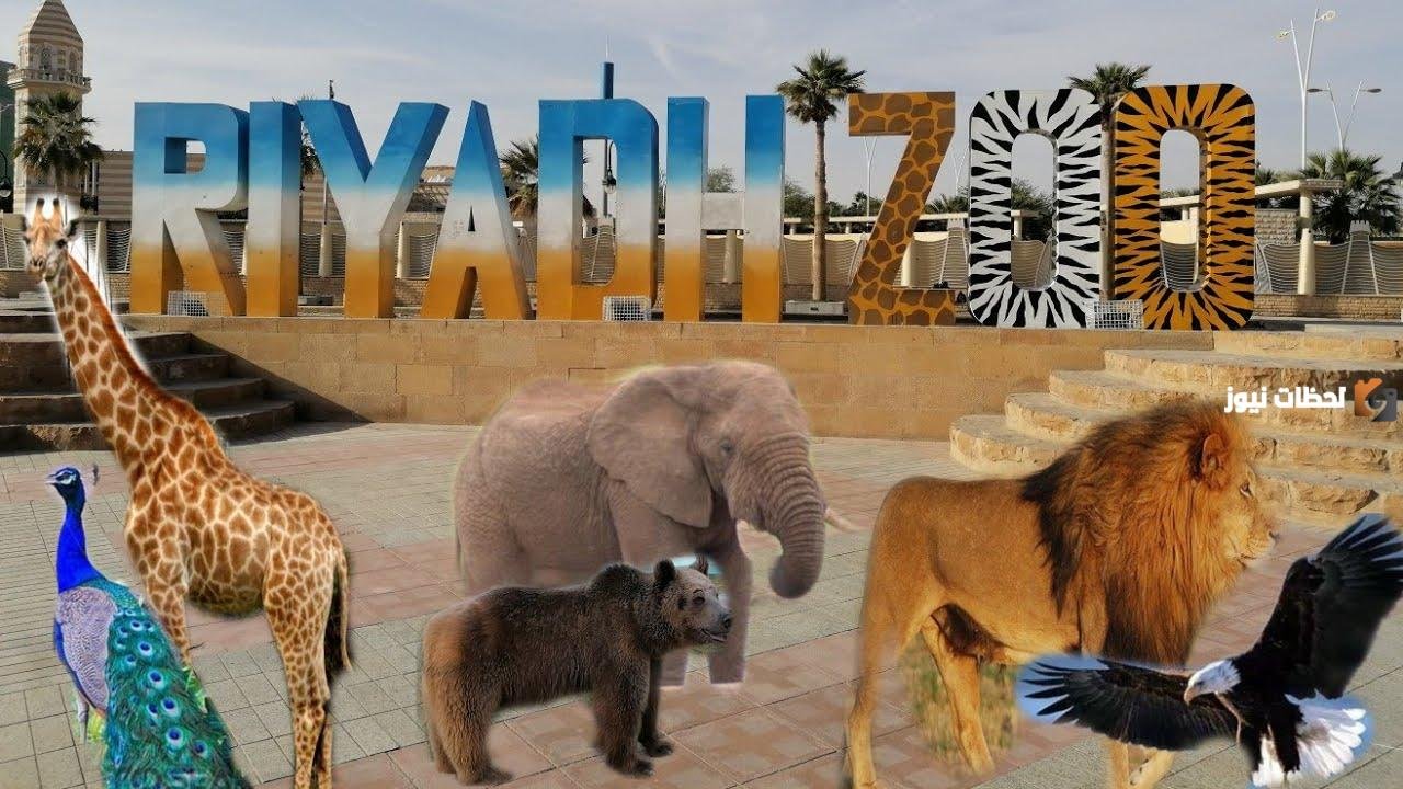 طريقة شراء تذاكر حديقة الحيوانات في الرياض Riyadh Zoo وسعر التذاكر وأهم الفعاليات