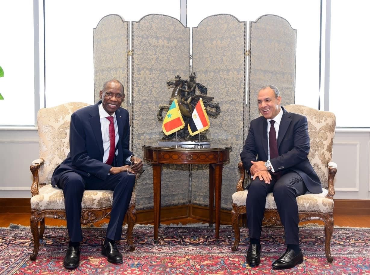 مباحثات مصرية سنغالية في القاهرة