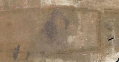 ألمانيا تكتشف منجم الذهب الأبيض.. سر مزرعة حيرت علماء الآثار