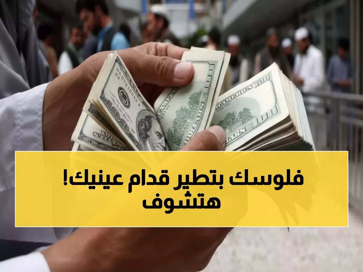  الدولار يفقد 19 قرشاً في أسبوع... هل يواصل الانهيار أمام الجنيه المصري؟