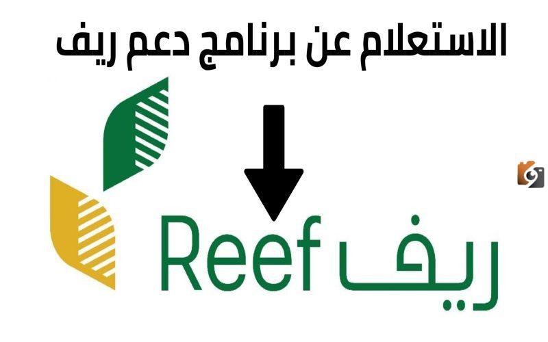  احصل على 54,000 ريال سعودي سنويًا