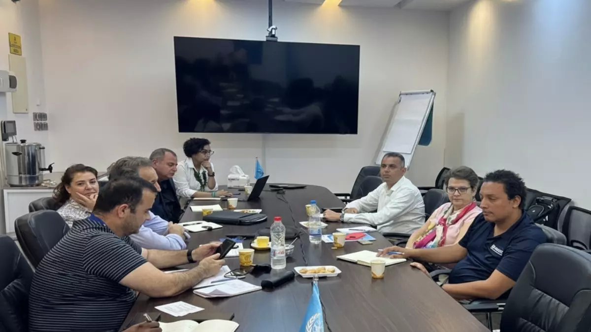 عاجل: مسؤولة أممية تكشف خطة سرية لمكافحة شبكات الإجرام في اليمن... التفاصيل صادمة!