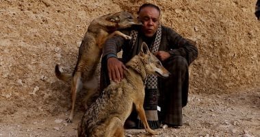 مغامرة داخل جبل بسوهاج.. شاب صعيدي يربي ذئبين في منزله (فيديو وصور)