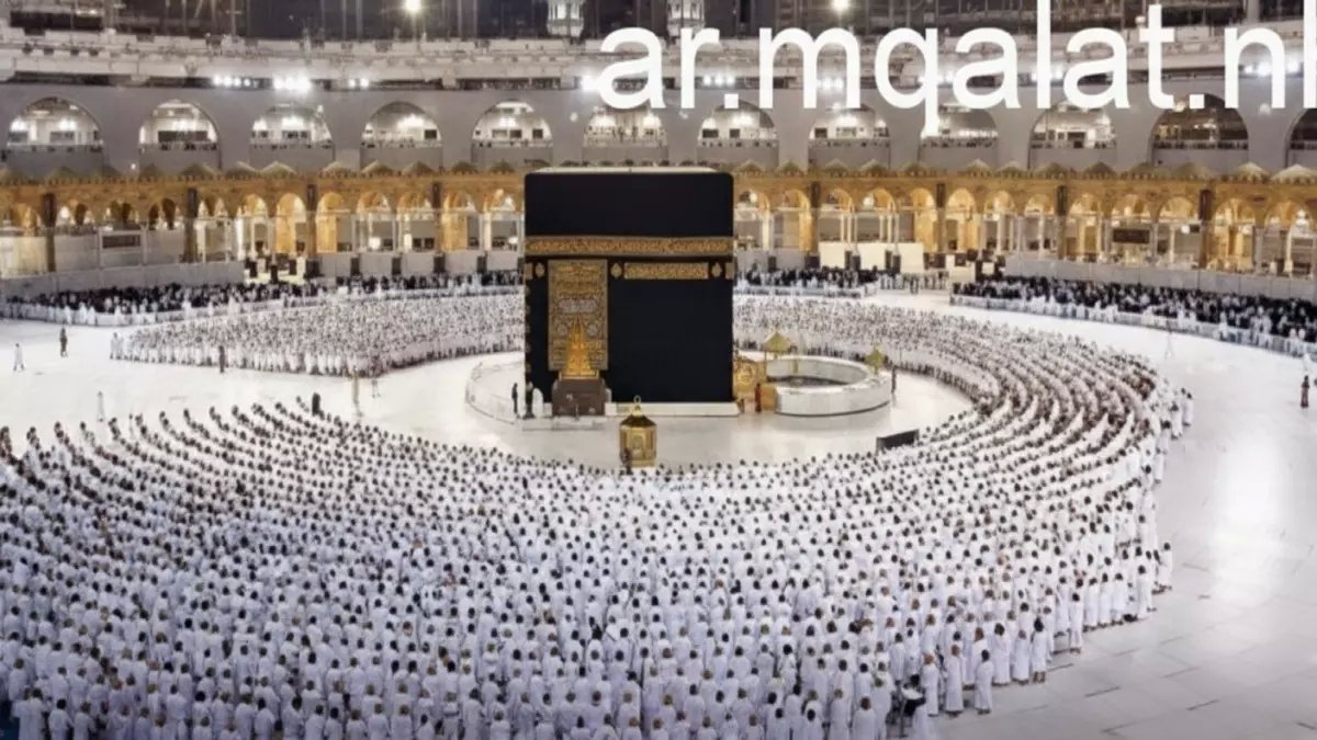 عاجل: قانون جديد يلزم شركات العمرة بدفع تأمين مؤقت... هل ستحمي الحجاج من النصب؟