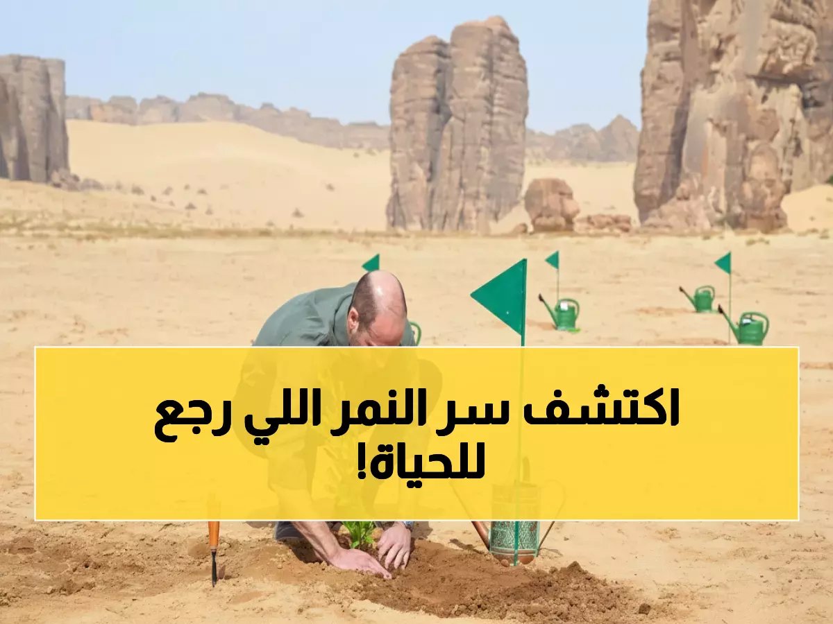  الأمير ويليام يكشف أسرار العُلا التاريخية ويشهد عودة النمر العربي للحياة!