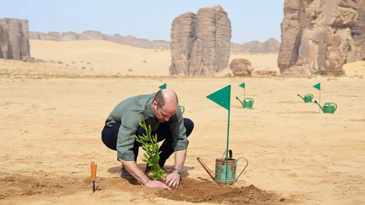 حصري: الأمير ويليام يكشف أسرار العُلا التاريخية ويشهد عودة النمر العربي للحياة!