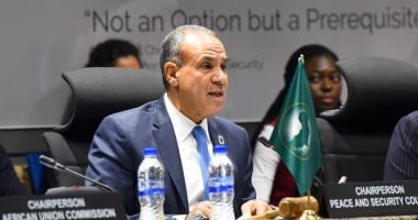 مصر تقود حراكاً أفريقياً داعماً لوحدة وسيادة كل من السودان والصومال