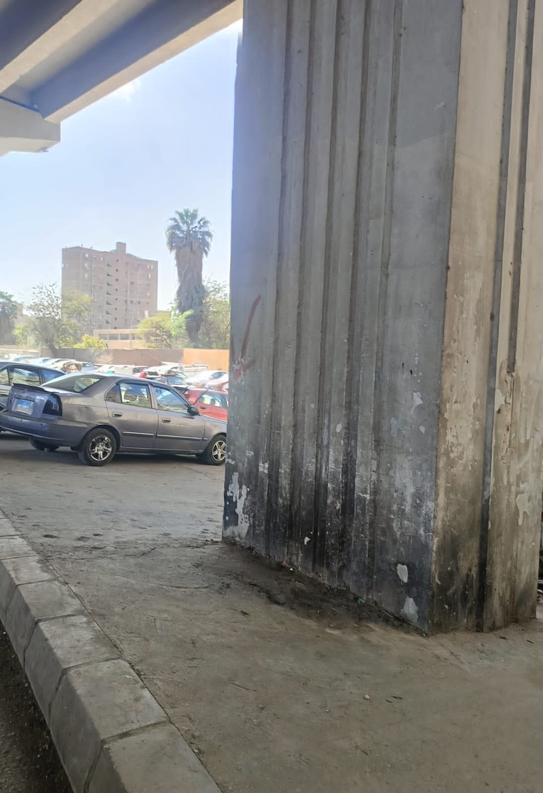 حى العجوزة يرفع بؤر المخلفات وأماكن الفرز العشوائى بأرض اللواء (8)