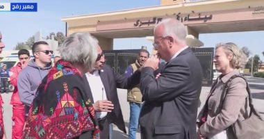 سفيرا فنلندا والسويد يشيدان بدور مصر فى دعم غزة وينتقدان إسرائيل