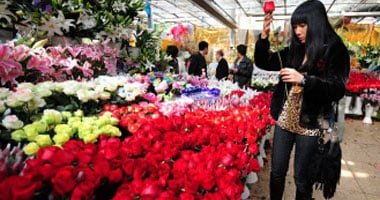 ورد الفالنتين والقهوة.. رسوم ترامب الجمركية تهدد صادرات كولومبيا من الزهور