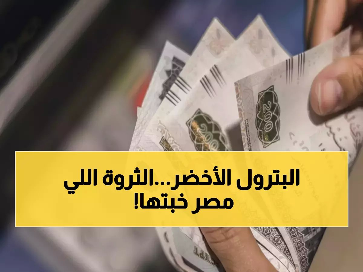 صحراء مصر تنتج الذهب البني... لكنها تكشف عن أرقام 'هائلة' تبرهن على أن الاستثمار الزراعي المصري هو الفرصة الحقيقية!