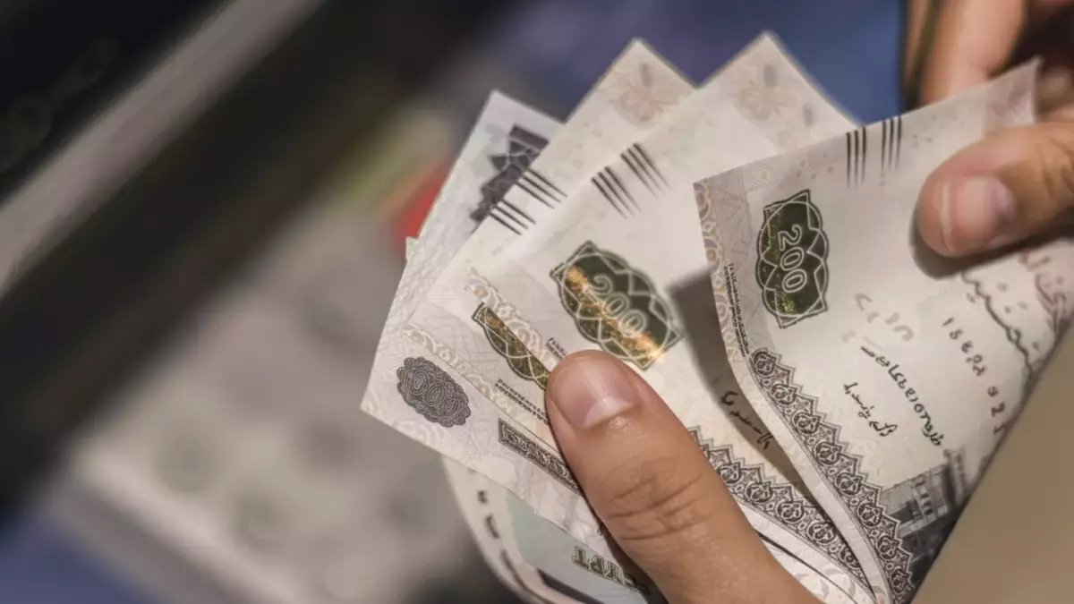 صحراء مصر تنتج الذهب البني... لكنها تكشف عن أرقام 'هائلة' تبرهن على أن الاستثمار الزراعي المصري هو الفرصة الحقيقية!