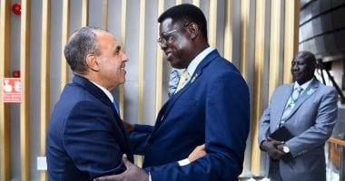 وزير الخارجية يؤكد رفض الإجراءات الأحادية فى حوض النيل