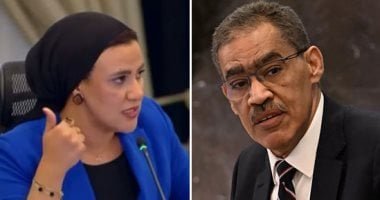 ضياء رشوان ردا على سؤال اليوم السابع: نقد اختيار الوزراء حق دستورى