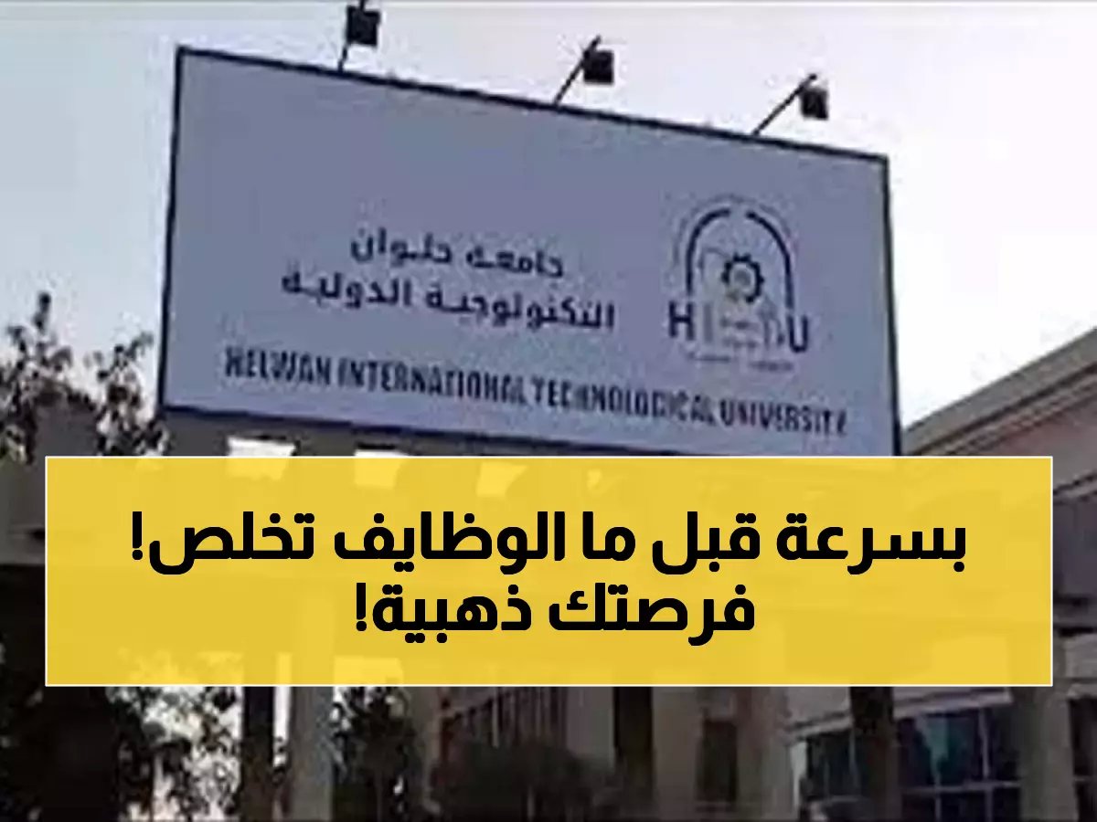  خبراء سايشيلد يكشفون أسرار الأمن السيبراني لطلاب حلوان - فرص وظيفية ذهبية تنتظركم الأحد!