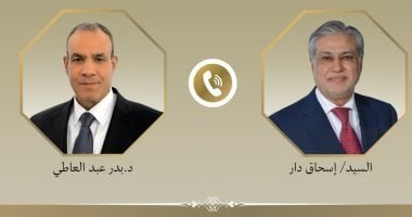 وزير الخارجية يبحث مع نظيره الباكستانية التطورات الإقليمية