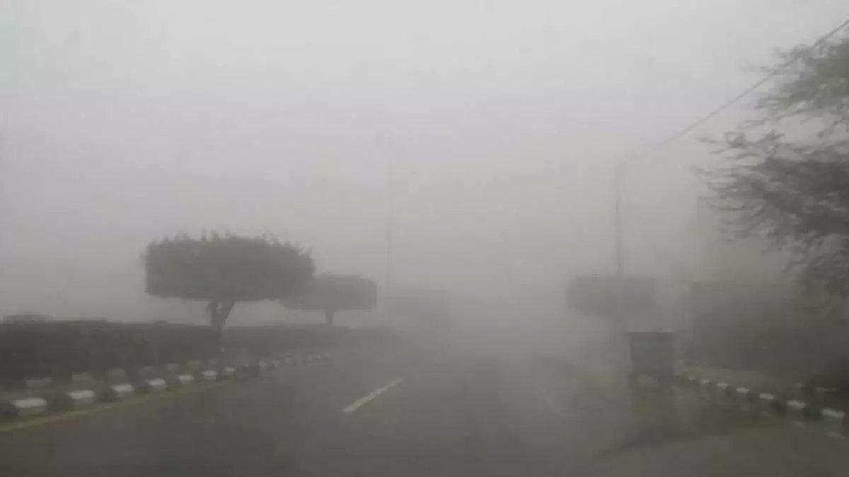 عاجل: الأرصاد تحذر من ضباب كثيف يغطي 4 مناطق سعودية وعواصف ترابية تضرب الشمال اليوم!