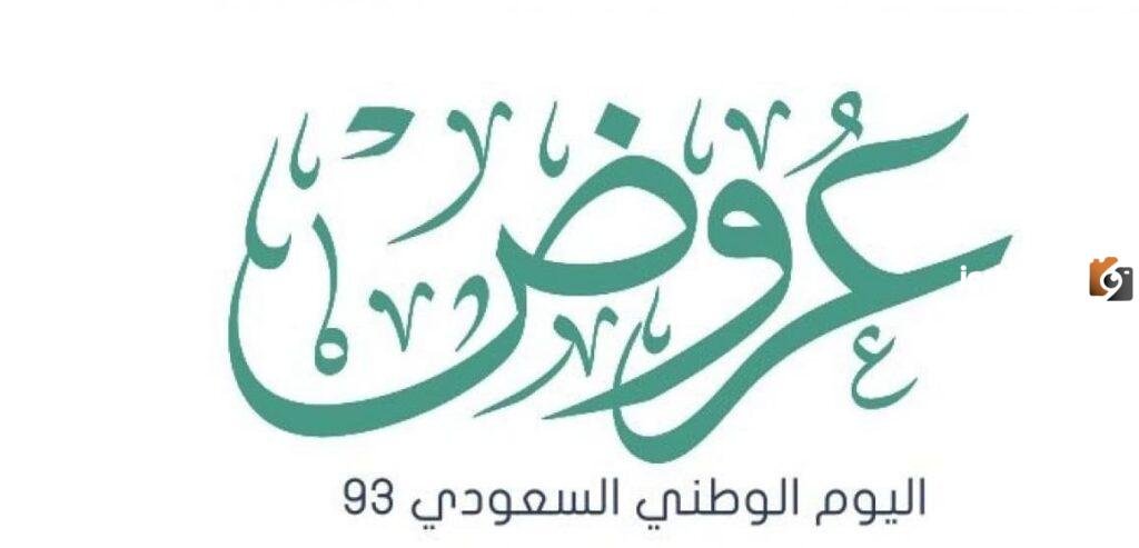 NOW عروض التأمين اليوم الوطني 93